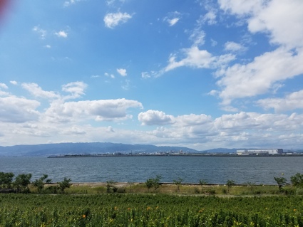 f:id:touguchi:20170625130223j:plain f:id:touguchi:20170625130223j:plain