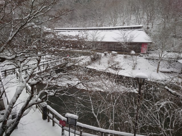 f:id:toujibatelework:20220115163055j:plain