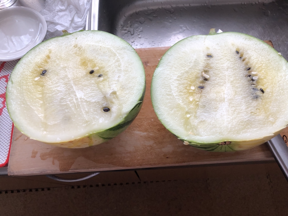 f:id:touko1116:20190902085654j:plain f:id:touko1116:20190902085654j:plain