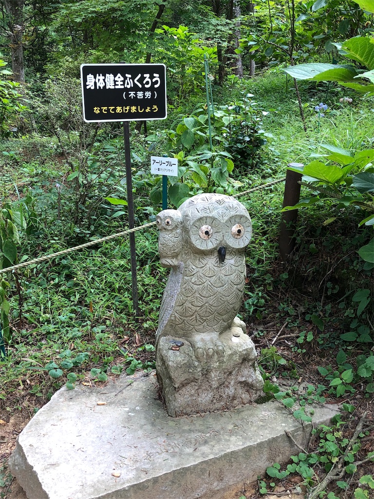 f:id:touko1116:20191004095852j:image f:id:touko1116:20191004095852j:image