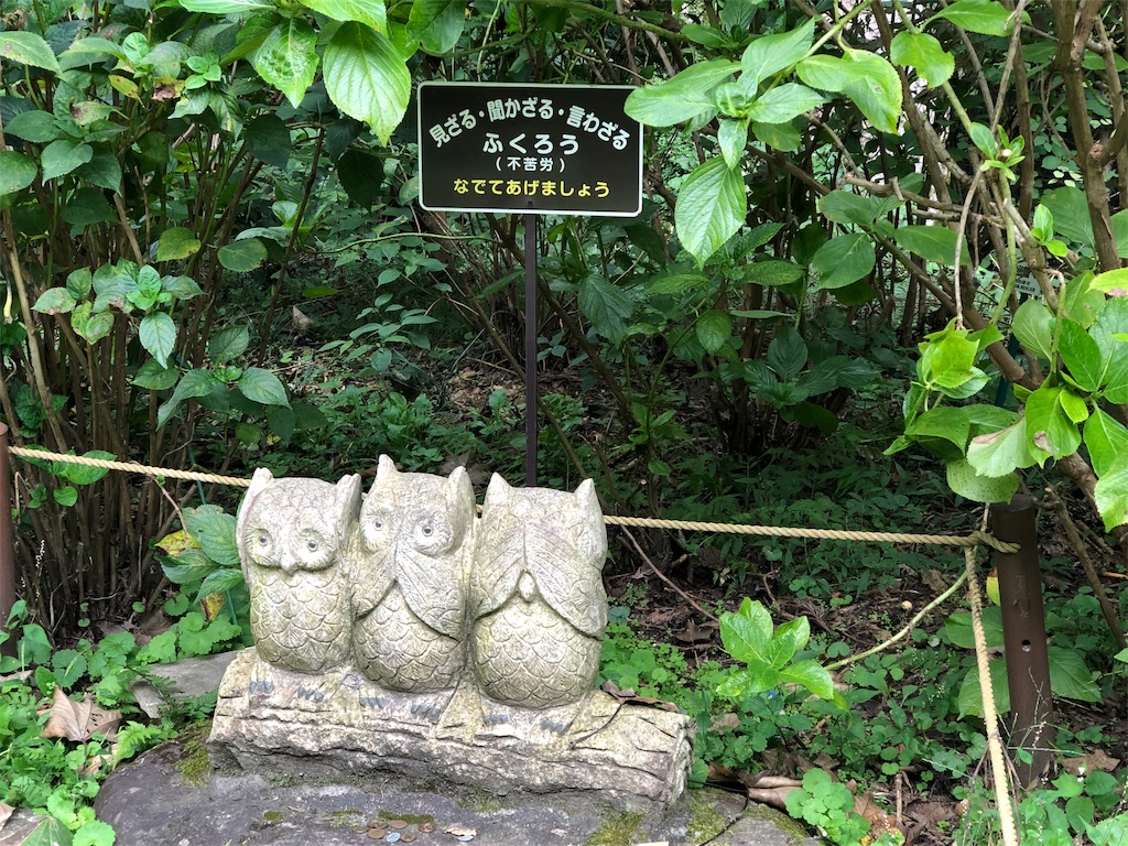 f:id:touko1116:20191004095906j:image f:id:touko1116:20191004095906j:image