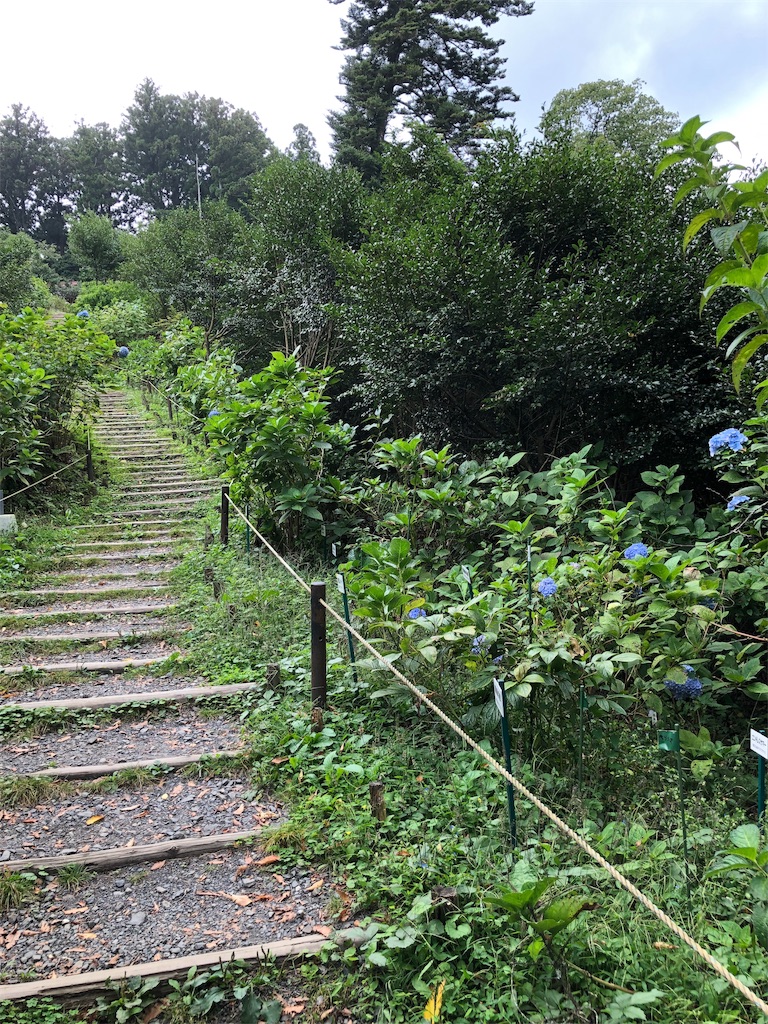 f:id:touko1116:20191004100011j:image f:id:touko1116:20191004100011j:image