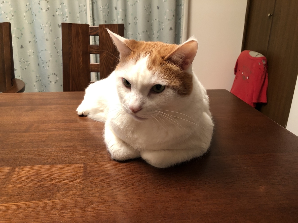 f:id:touko1116:20191215191548j:plain f:id:touko1116:20191215191548j:plain
