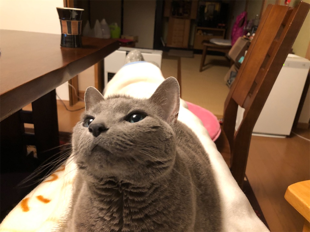 f:id:touko1116:20220221105332j:image f:id:touko1116:20220221105332j:image