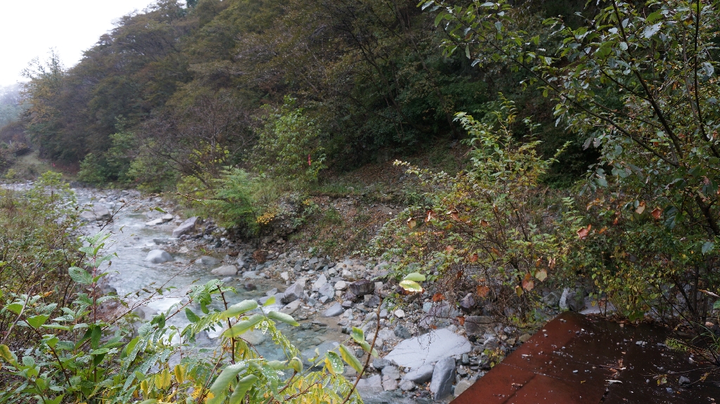 f:id:toukoa37:20181010230121j:plain f:id:toukoa37:20181010230121j:plain