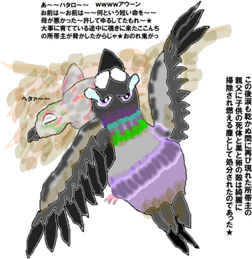 雛を死なせた親鳩の嘆き★