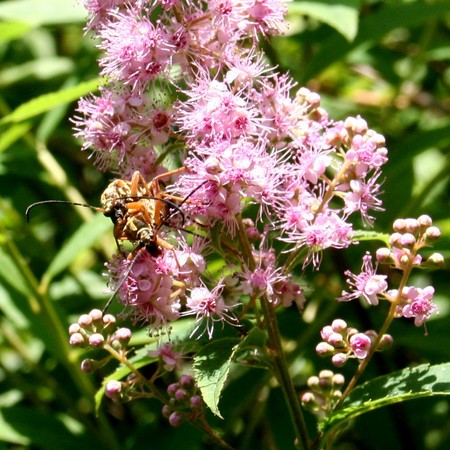 f:id:toumeioj3:20070818100336j:image:right