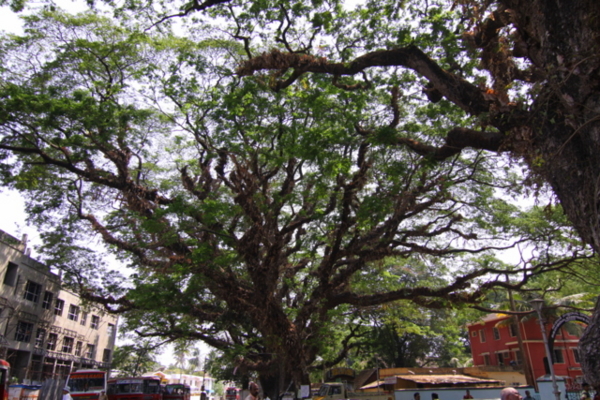 f:id:toumeioj3:20100320093838j:image:left