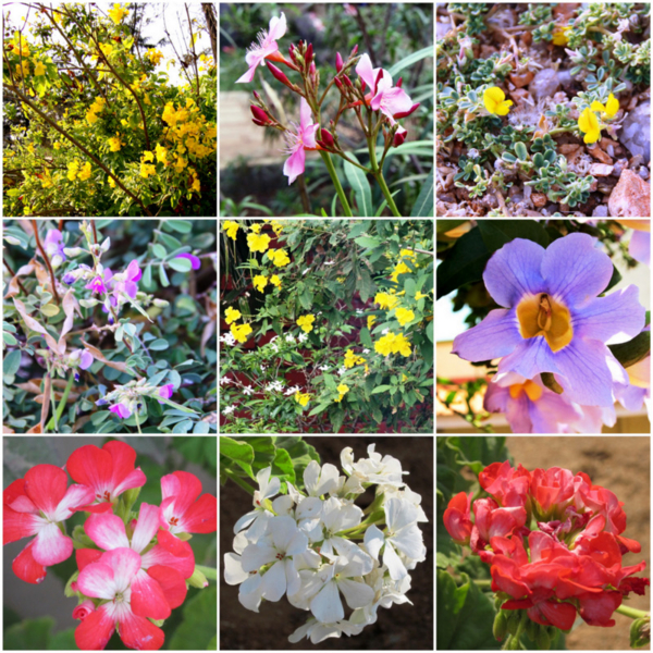 f:id:toumeioj3:20100404183943j:image:right