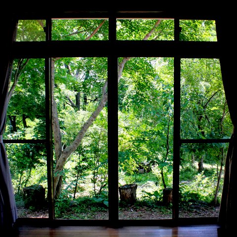 f:id:toumeioj3:20180714070813j:image:right f:id:toumeioj3:20180714070813j:image:right