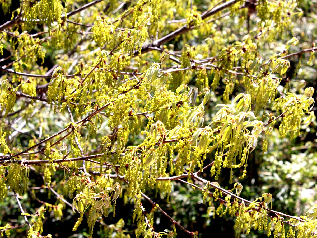 f:id:toumeioj3:20190508070613j:plain f:id:toumeioj3:20190508070613j:plain