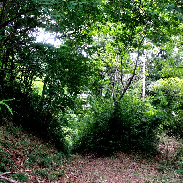 f:id:toumeioj3:20191002202711j:plain f:id:toumeioj3:20191002202711j:plain