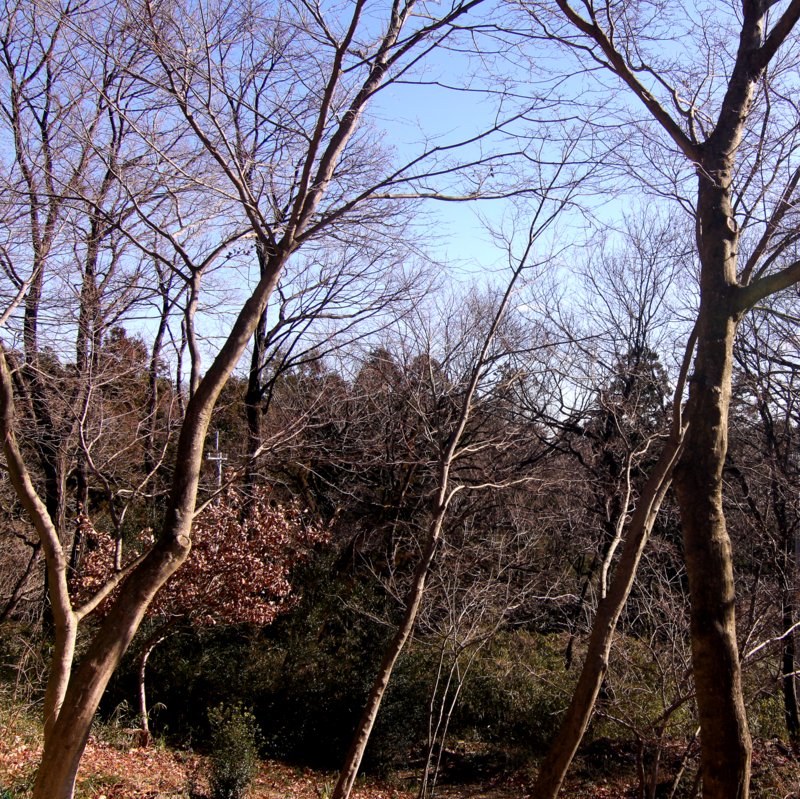 f:id:toumeioj3:20191229094000j:plain f:id:toumeioj3:20191229094000j:plain