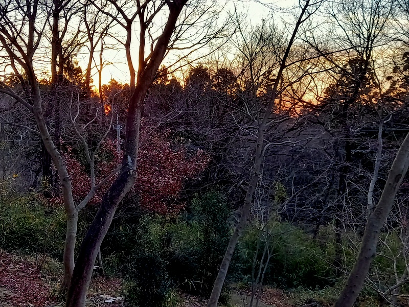 f:id:toumeioj3:20201231113857j:plain