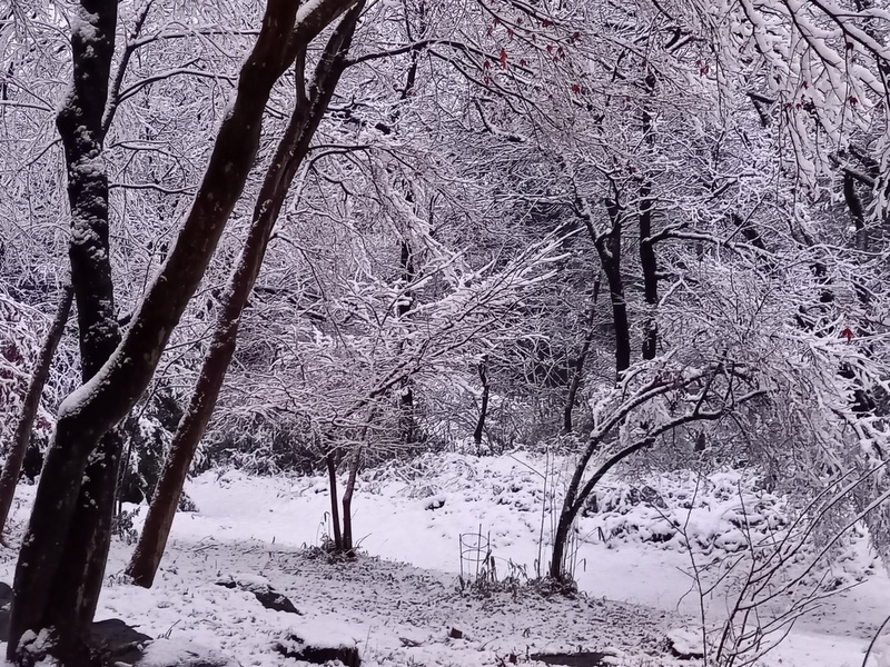 f:id:toumeioj3:20210201103049j:plain