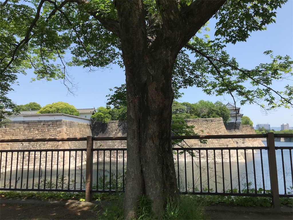 f:id:tounyu_nomeba:20180507225145j:image f:id:tounyu_nomeba:20180507225145j:image