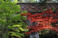 [京都][植物][建築]水路閣（南禅寺）