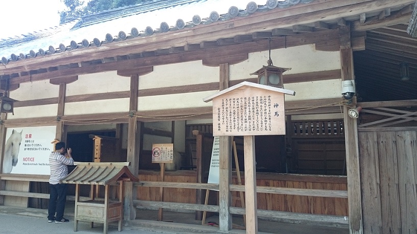 f:id:tourabu-purei-nikki:20171010224601j:plain f:id:tourabu-purei-nikki:20171010224601j:plain