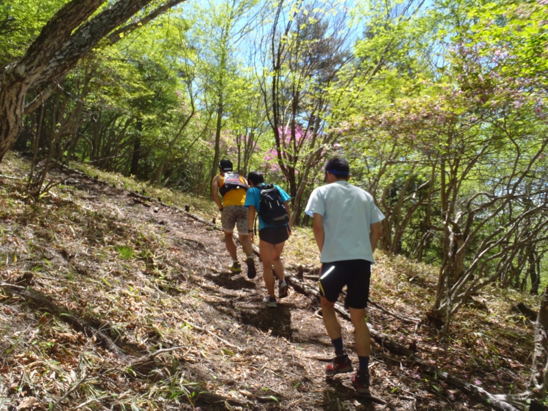 f:id:tourdeyatugatake:20140601100405j:image:w640 f:id:tourdeyatugatake:20140601100405j:image:w640
