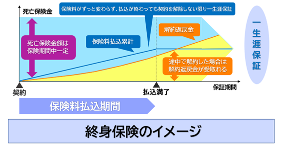 f:id:toushinosekai:20200515105756p:plain f:id:toushinosekai:20200515105756p:plain