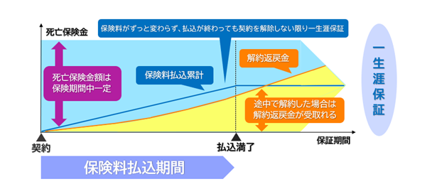 f:id:toushinosekai:20200521105024p:plain