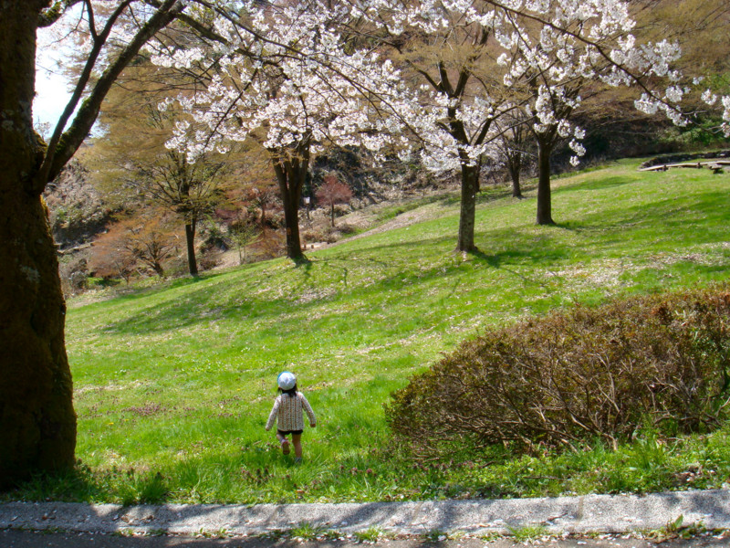 f:id:tousuu3104:20110421112135j:image
