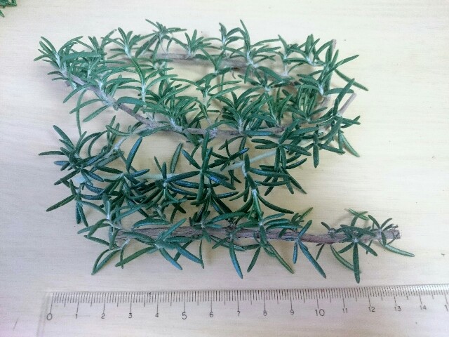 f:id:toutsuki:20181206211259j:image