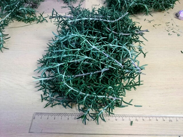 f:id:toutsuki:20181206211315j:image