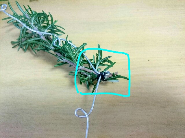 f:id:toutsuki:20181206211349j:image