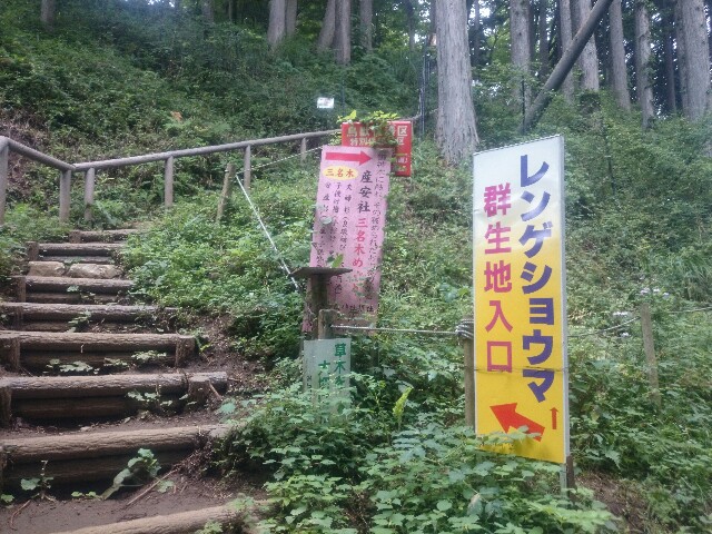 f:id:toutsuki:20190902104021j:image