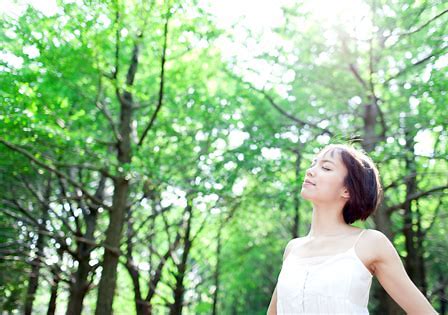 f:id:towaa:20200703143938j:plain f:id:towaa:20200703143938j:plain