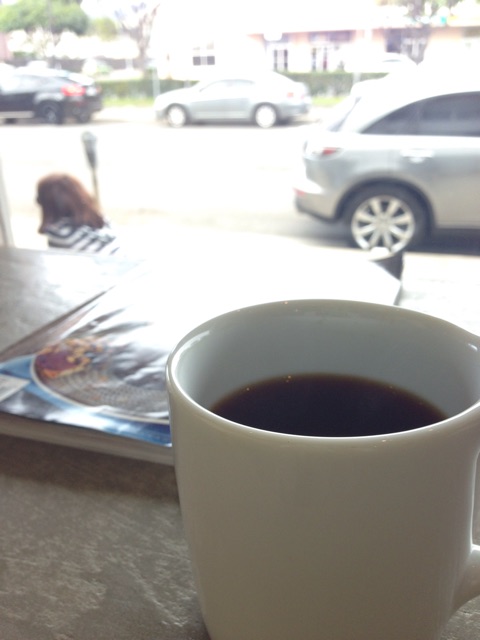 f:id:towaloha:20150331100313j:plain f:id:towaloha:20150331100313j:plain
