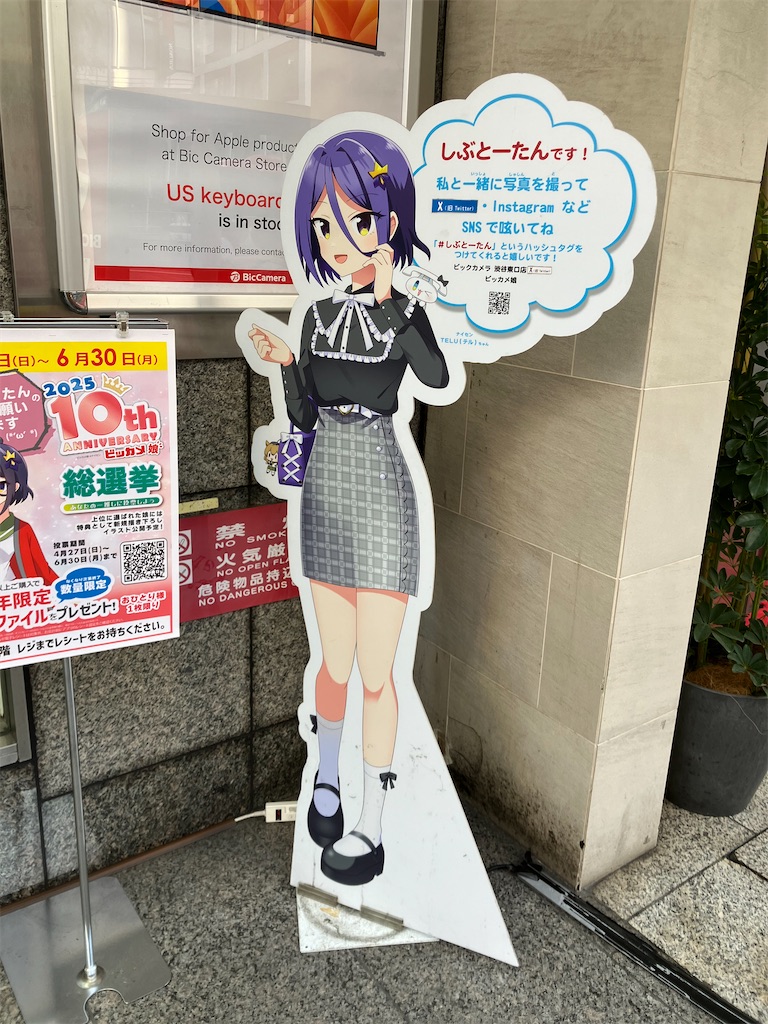 f:id:tox_of_jellyfish:20250505215851j:image