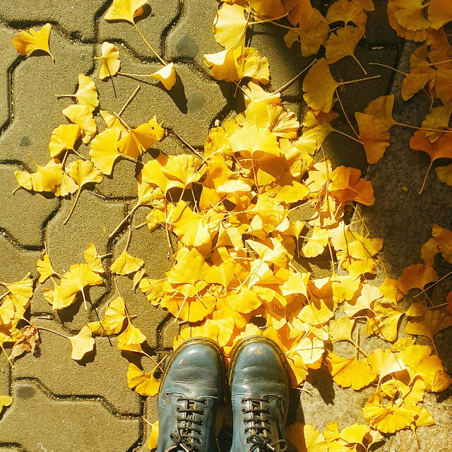 f:id:toxic-chia:20161115173534j:image