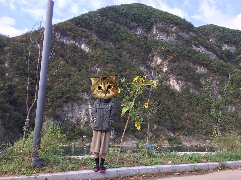 f:id:toxic-chia:20171006135146j:image