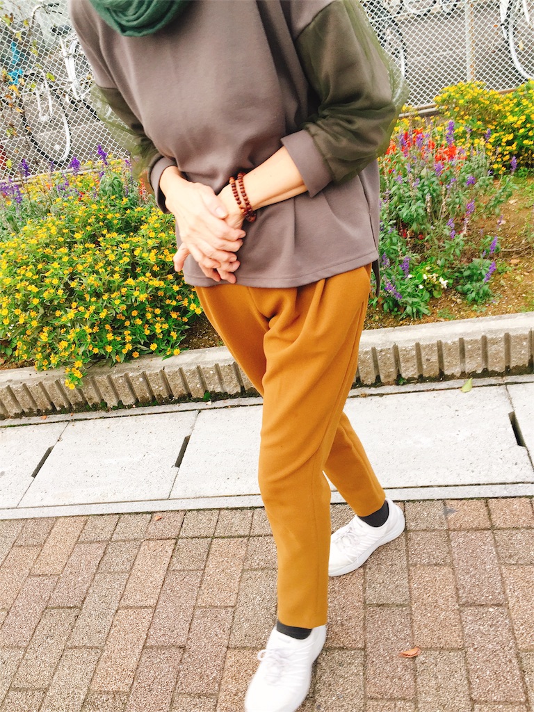 f:id:toxic-chia:20171018191045j:image
