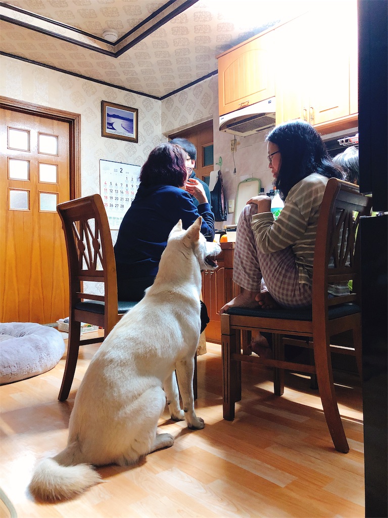 f:id:toxic-chia:20180228172449j:image