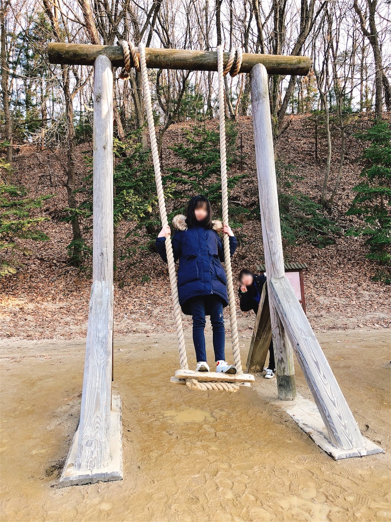 f:id:toxic-chia:20180304113358j:image