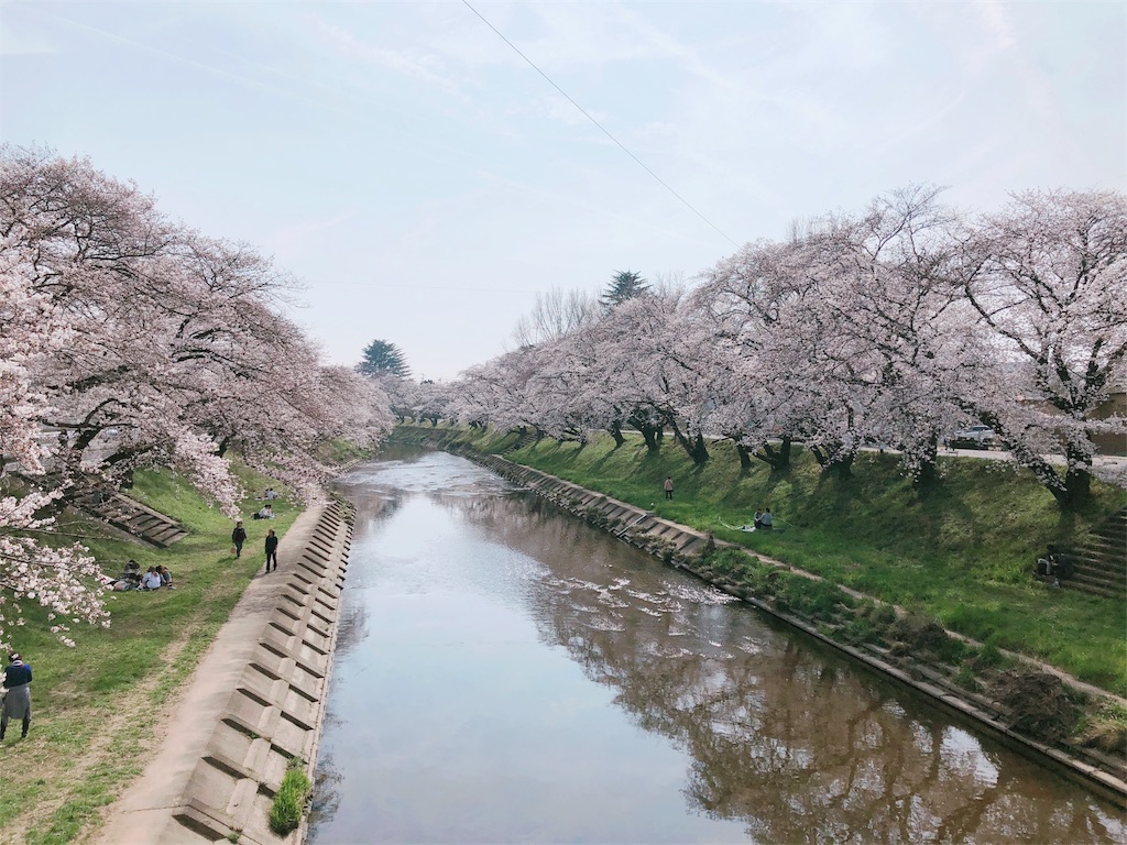 f:id:toxic-chia:20180329111919j:image