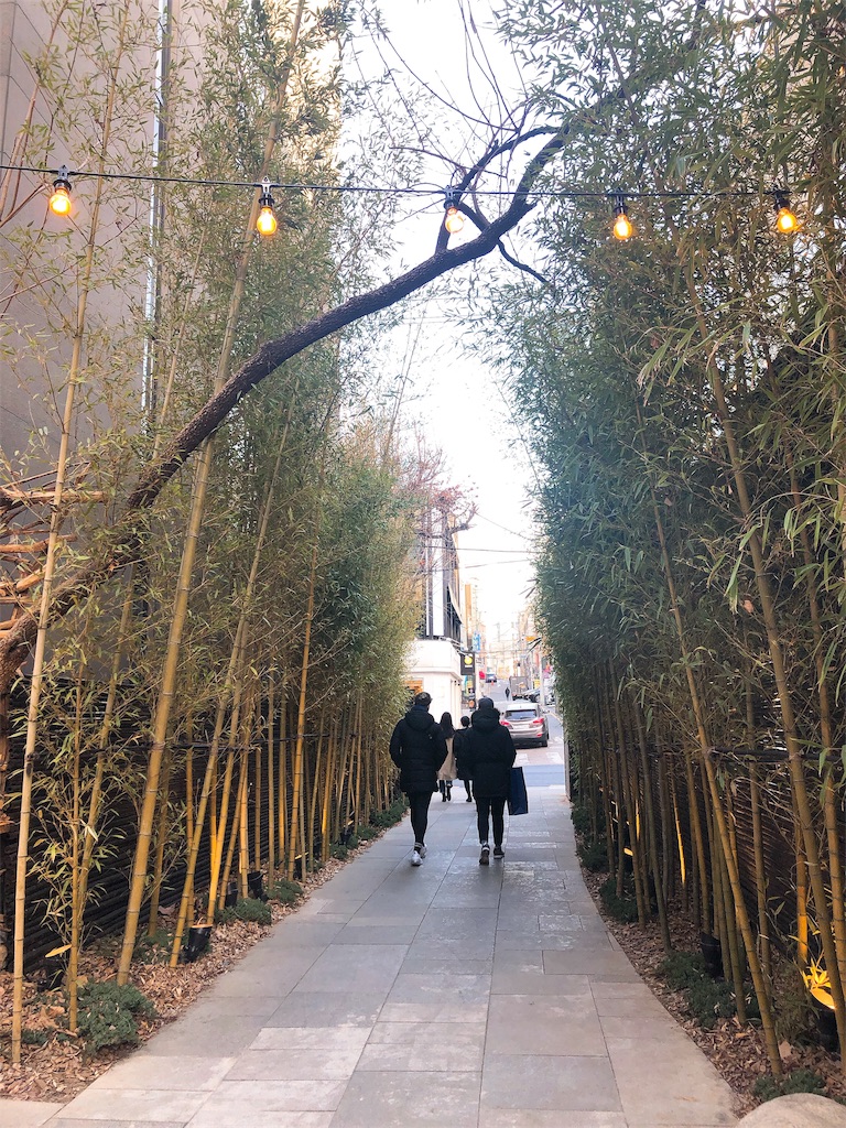 f:id:toxic-chia:20190122141855j:image f:id:toxic-chia:20190122141855j:image