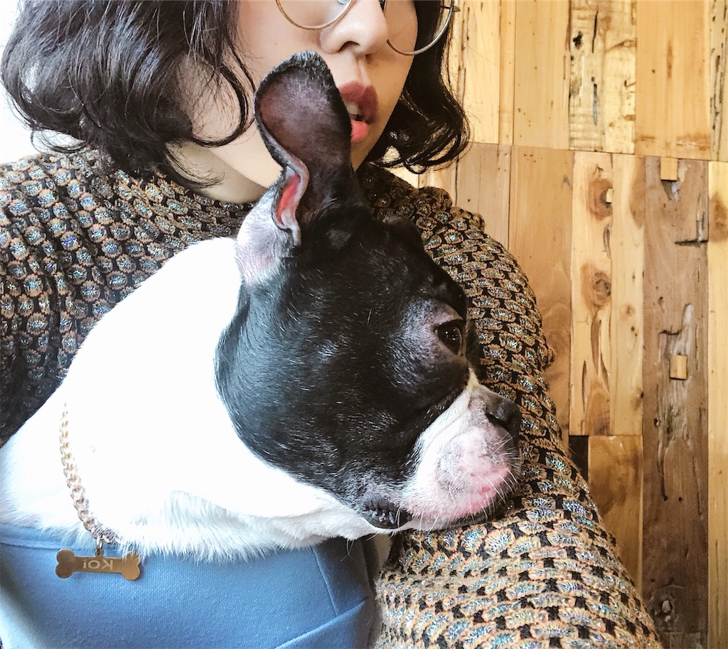 f:id:toxic-chia:20190211165253j:image f:id:toxic-chia:20190211165253j:image