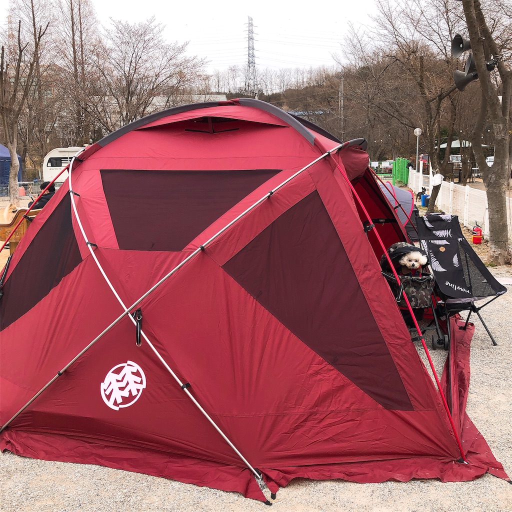 f:id:toxic-chia:20190408204103j:image f:id:toxic-chia:20190408204103j:image