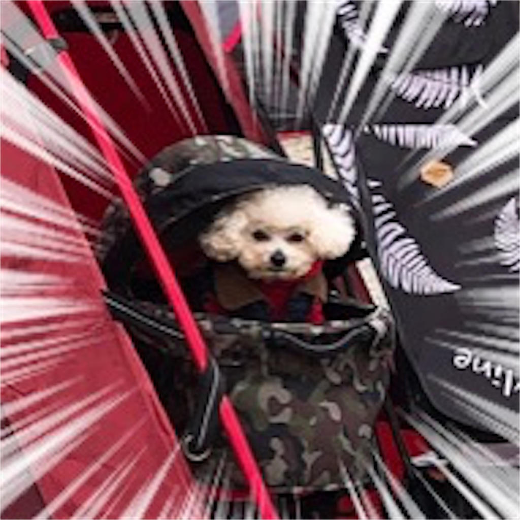 f:id:toxic-chia:20190408204111j:image f:id:toxic-chia:20190408204111j:image