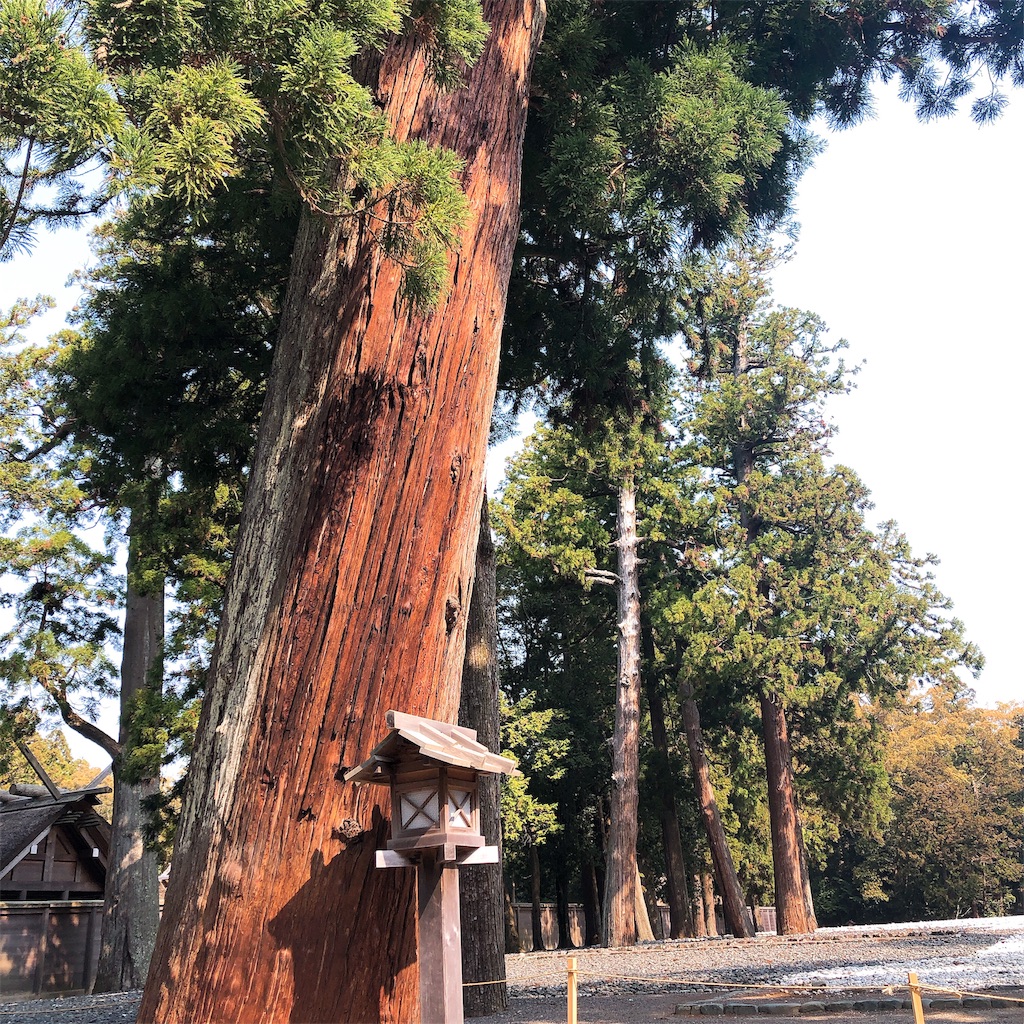 f:id:toxic-chia:20190501234339j:image