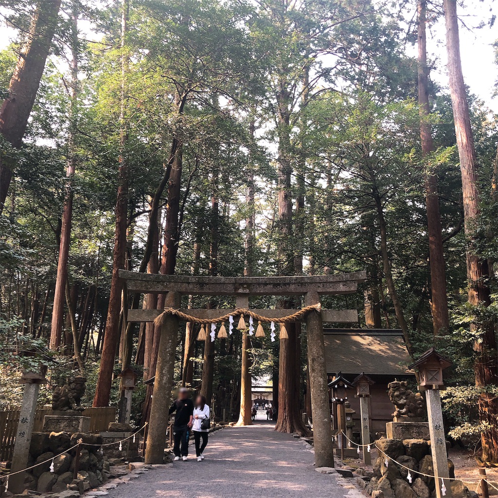 f:id:toxic-chia:20190501234646j:image