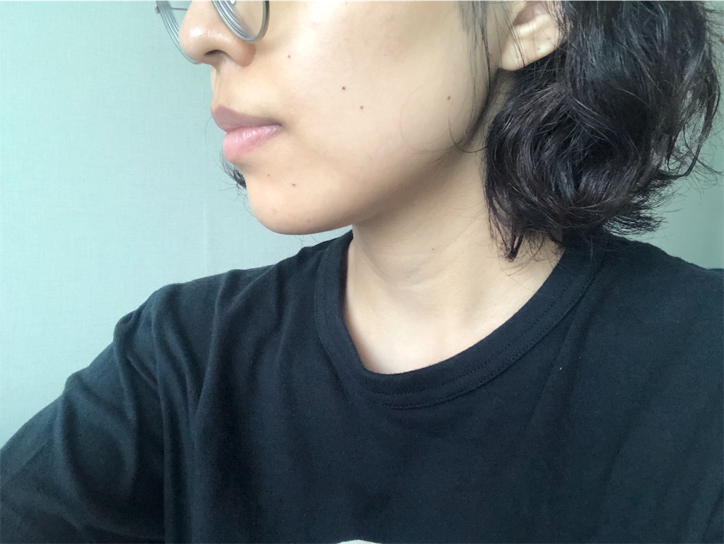f:id:toxic-chia:20190516133543j:image