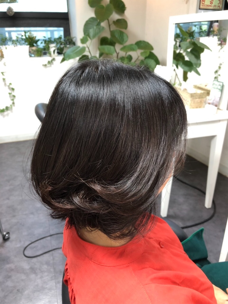 f:id:toxic-chia:20190529095547j:image