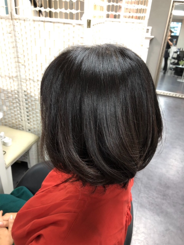 f:id:toxic-chia:20190529095556j:image