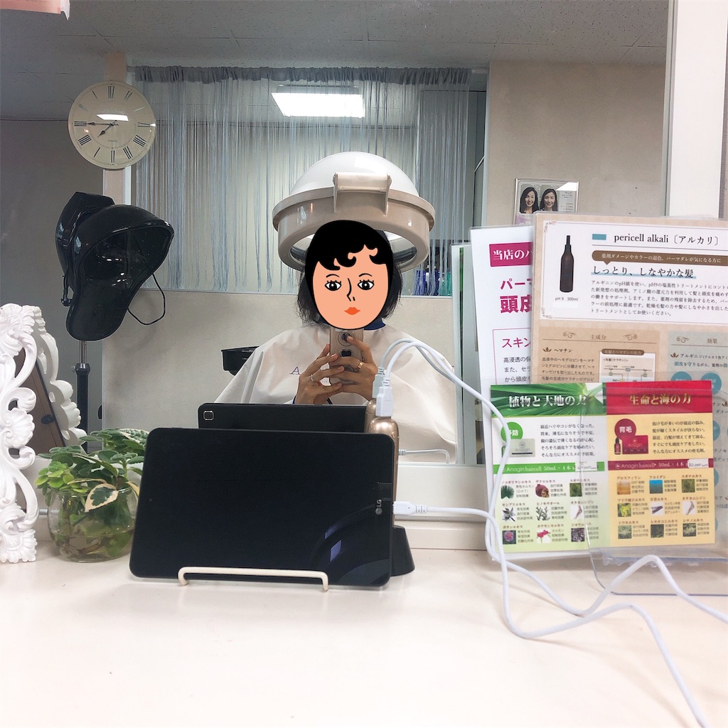 f:id:toxic-chia:20190529160011j:plain