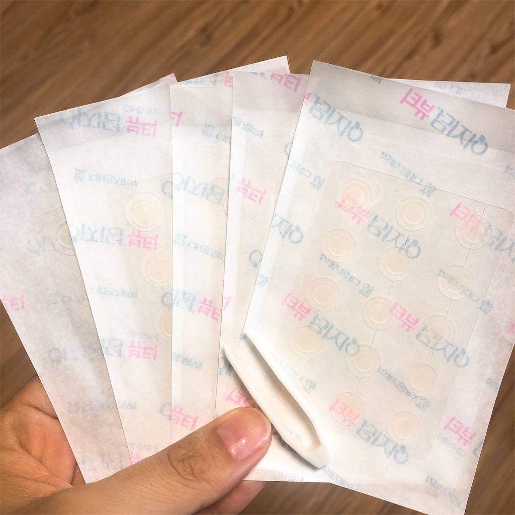 f:id:toxic-chia:20190604123454j:image